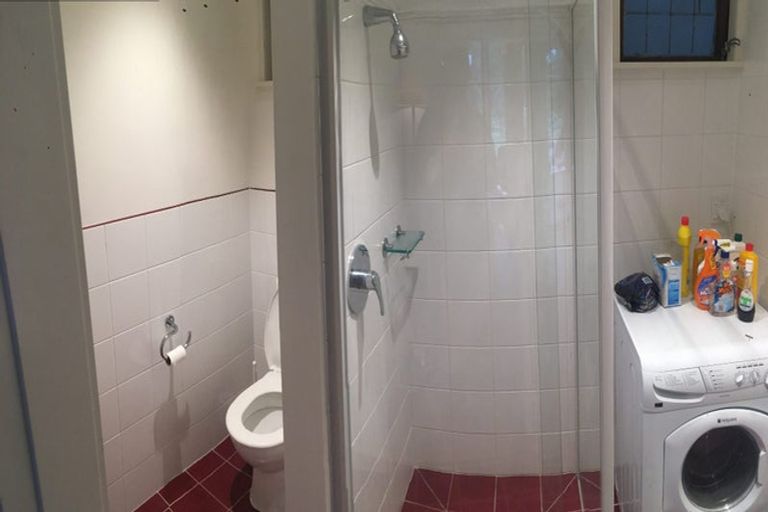 Photo of property in 56 Holloway Road, Aro Valley, Wellington, 6021