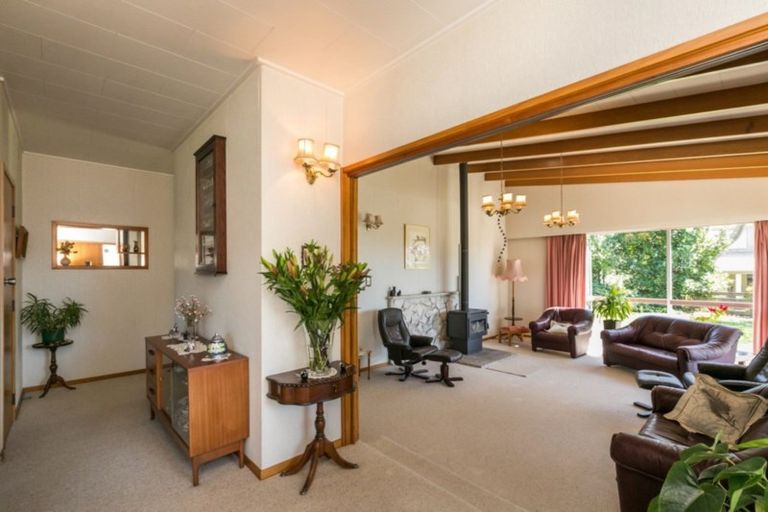 Photo of property in 14 Gillean Street, Havelock North, 4130