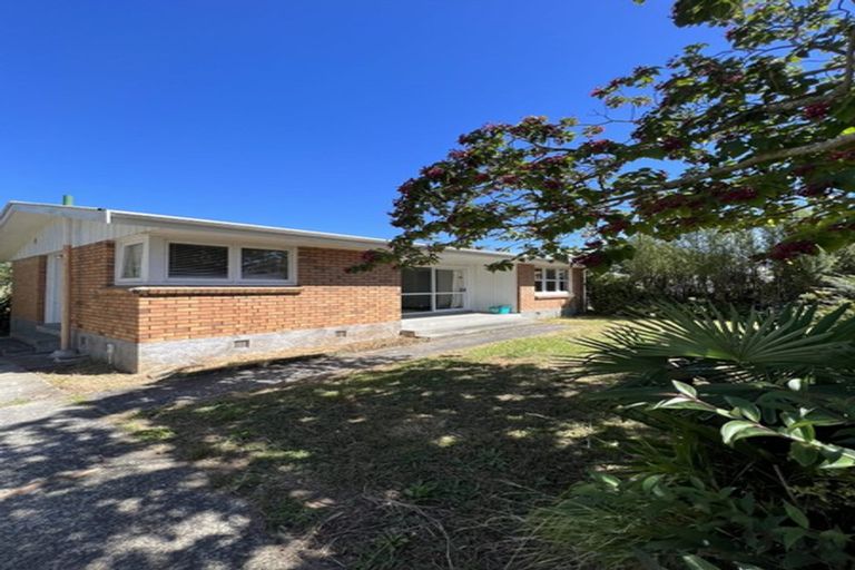 Photo of property in 163 River Road, Hamilton East, Hamilton, 3216