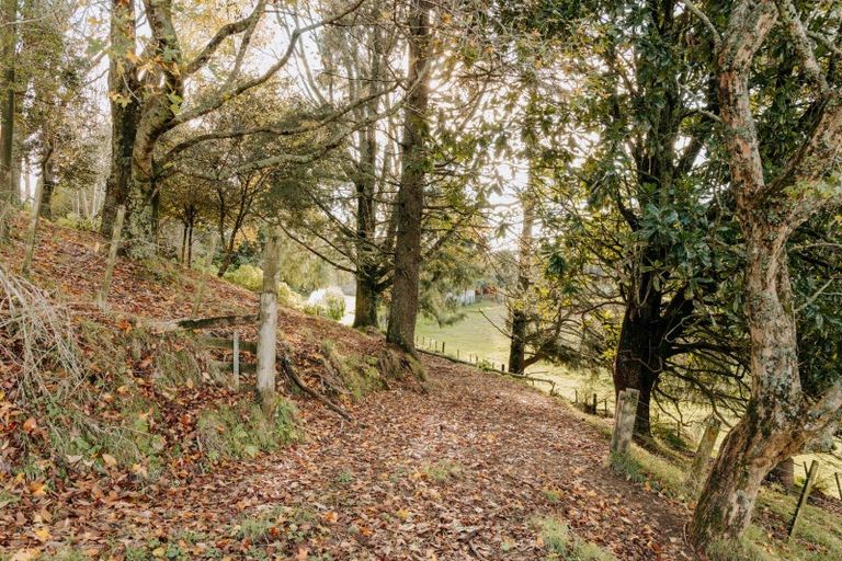 Photo of property in 1164 Maniatutu Road, Pongakawa, Te Puke, 3186