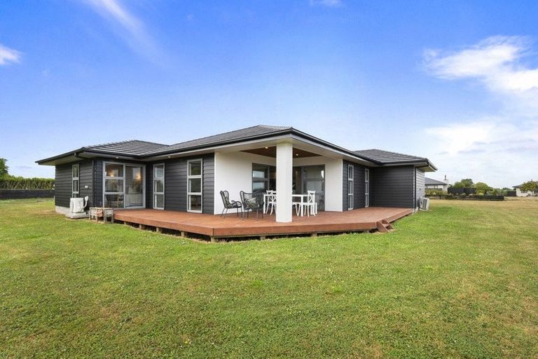 Photo of property in 46 Wapiti Avenue, Feilding, 4775