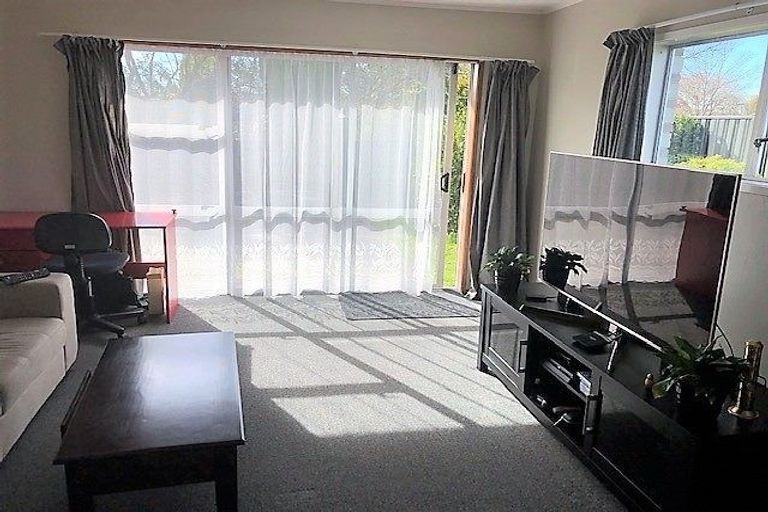 Photo of property in 1/50 Middle Road, Havelock North, 4130