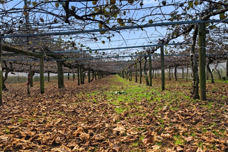 Photo of property in 11 Gill Lane, Te Puna, Tauranga, 3174