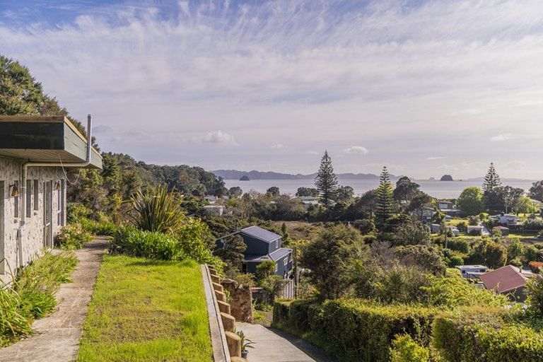 Photo of property in 953b Purangi Road, Cooks Beach, Whitianga, 3591