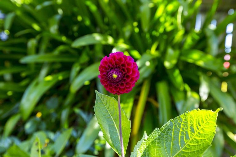 Photo of property in 2 Pokaka Street, Birchville, Upper Hutt, 5018