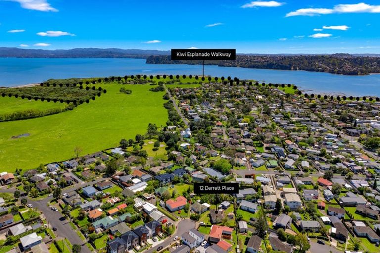 Photo of property in 12 Derrett Place, Mangere Bridge, Auckland, 2022