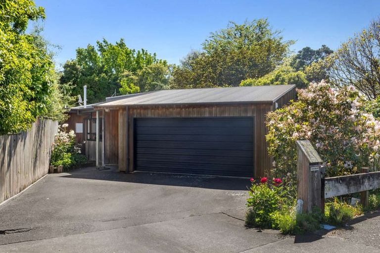 Photo of property in 22 Collingwood Street, Hokowhitu, Palmerston North, 4410