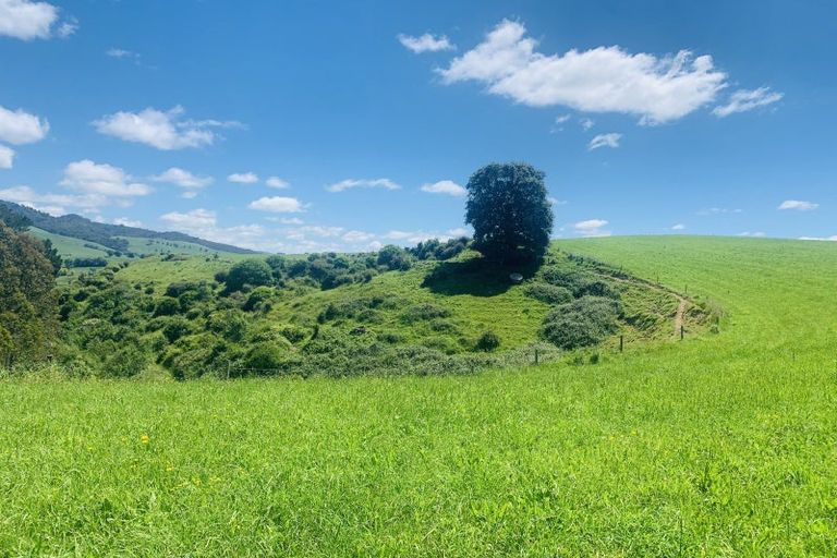 Photo of property in 231b Morgan Road, Matamata, 3472