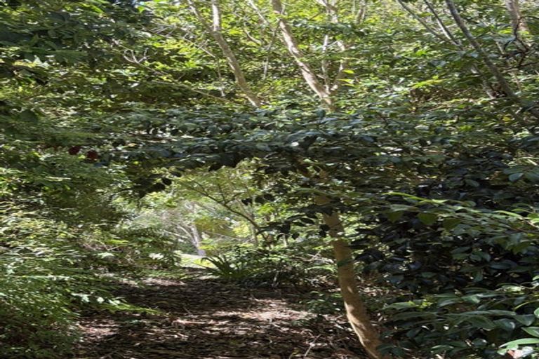 Photo of property in 52 Greenhill Road, Waikanae, 5391