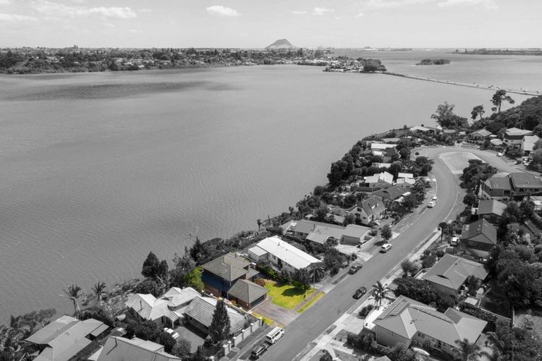 Photo of property in 117 Haukore Street, Hairini, Tauranga, 3112