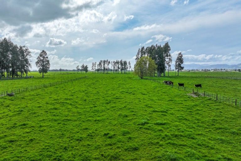 Photo of property in 403 Orchard Road East, Turua, Thames, 3574