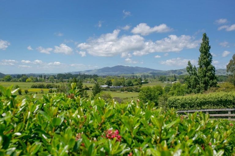 Photo of property in 4/88 Maungakawa Road, Cambridge, 3496