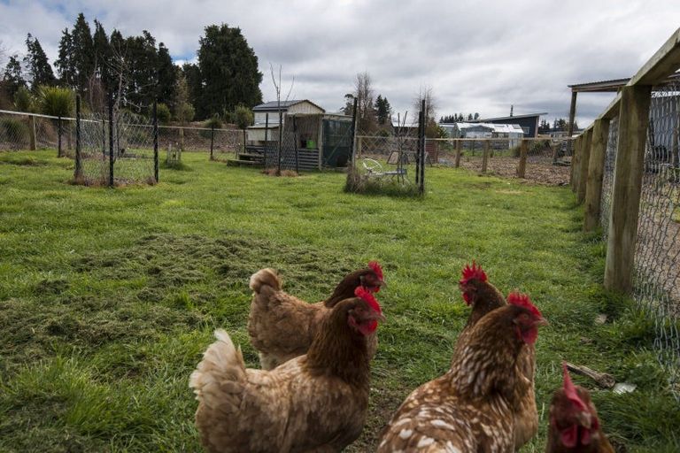 Photo of property in 52a Ruapehu Road, Ohakune, 4625