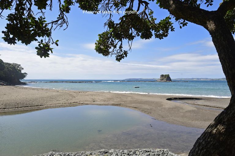 Photo of property in 8 Spray Crescent, Leigh, 0985