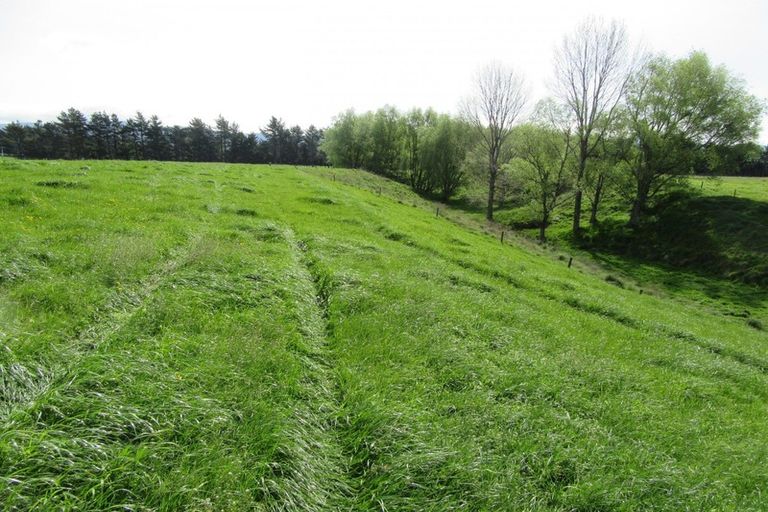 Photo of property in 521 Mill North, Roslyn Bush, Invercargill, 9876