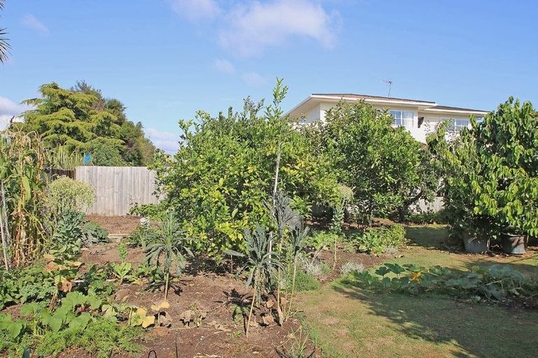 Photo of property in 6 Columba Place, Matua, Tauranga, 3110