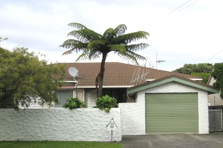 Photo of property in 24 Lincoln Avenue, Epuni, Lower Hutt, 5011
