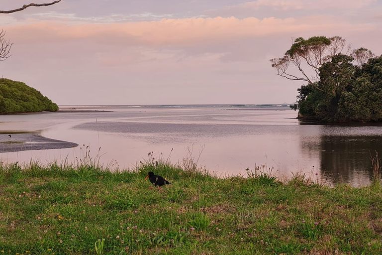 Photo of property in 21a Tamure Place, Ruakaka, 0116