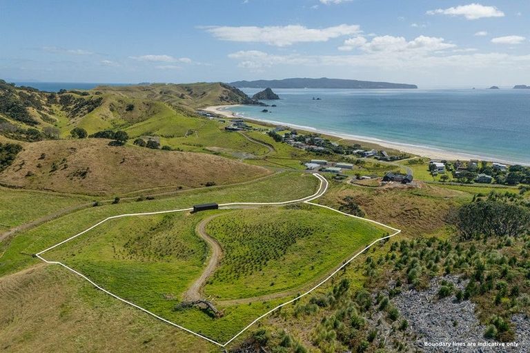 Photo of property in 838 Black Jack Road, Opito Bay, Whitianga, 3592