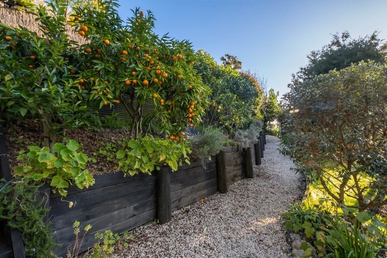 Photo of property in 51 Brooklands Road, Atawhai, Nelson, 7010