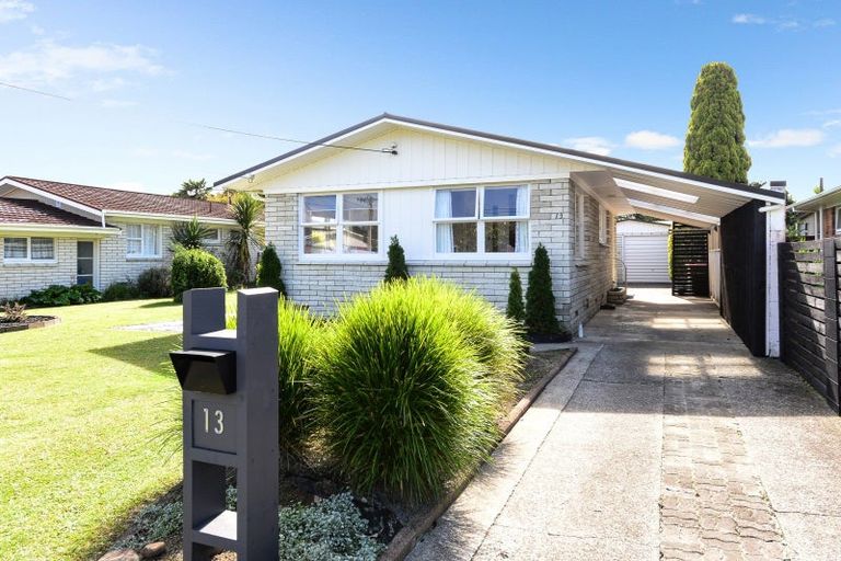 Photo of property in 13 Wake Street, Chartwell, Hamilton, 3210