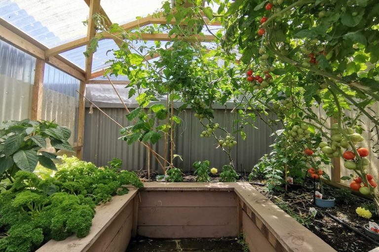 Photo of property in 113 Bealey Street, Hokitika, 7810