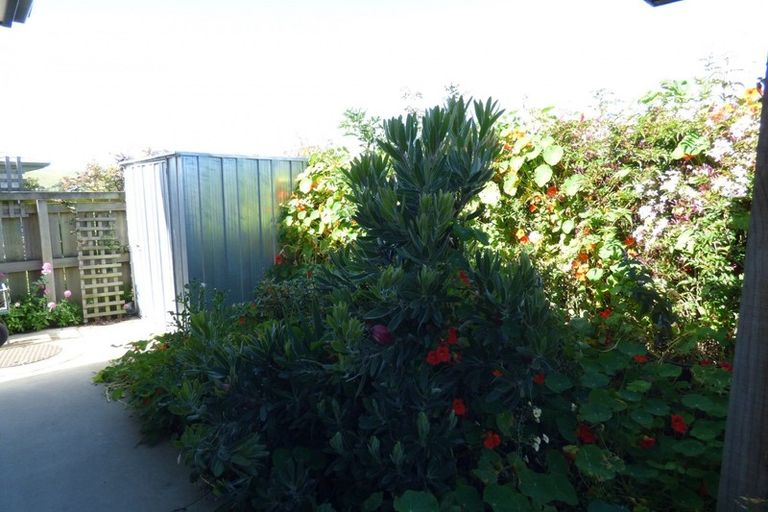 Photo of property in 7/92 Perth Street, South Hill, Oamaru, 9400