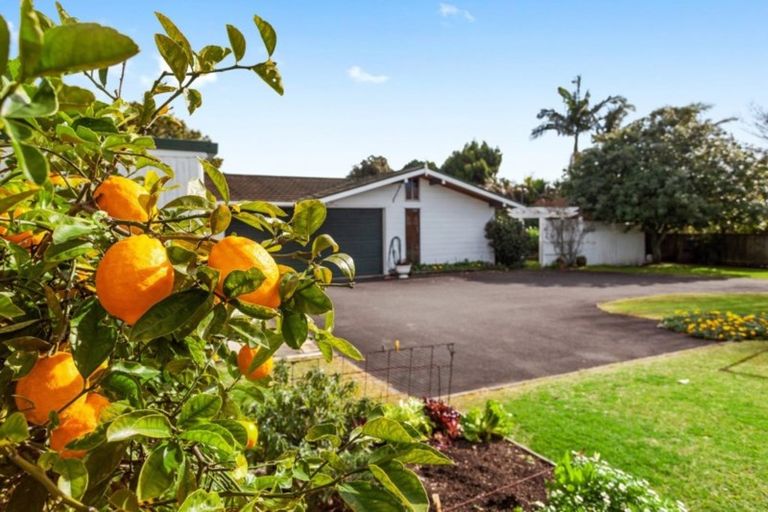 Photo of property in 5a Pouwhare Street, Whakatane, 3120