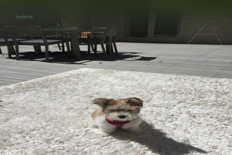 Photo of property in 226 Memorial Avenue, Burnside, Christchurch, 8053