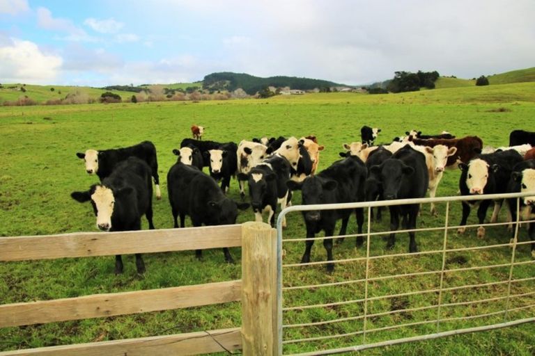 Photo of property in 1008 Tangowahine Valley Road, Tangowahine, Dargaville, 0372