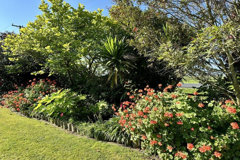 Photo of property in 641 Thornton Road, Thornton, Whakatane, 3194