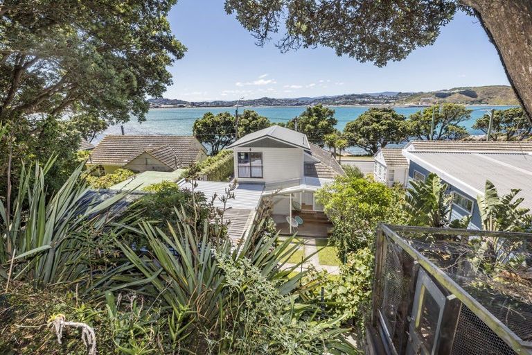 Photo of property in 318 Queens Drive, Lyall Bay, Wellington, 6022