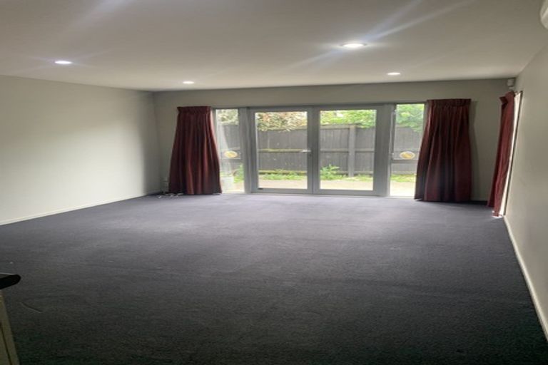 Photo of property in 25c Champion Street, Edgeware, Christchurch, 8013