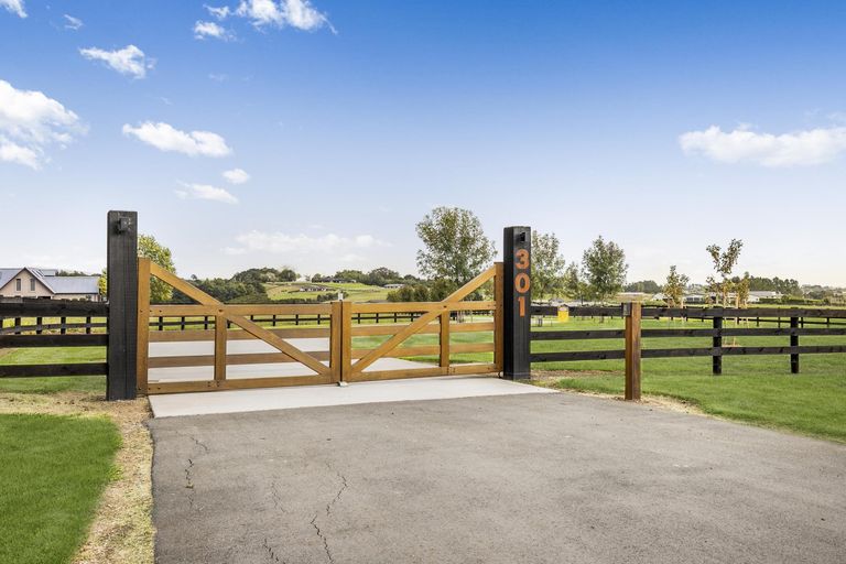 Photo of property in 301 Runciman Road, Ramarama, Pukekohe, 2677