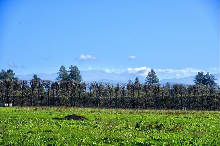 Photo of property in 38 Morris Road, Te Ore Ore, Masterton, 5886