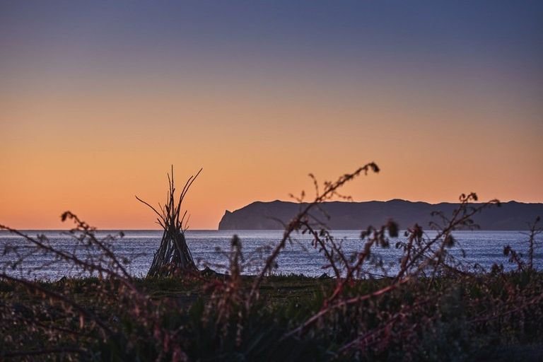 Photo of property in 182 Rarangi Beach Road, Rarangi, Blenheim, 7273