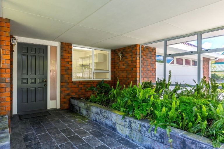 Photo of property in 225 Redwood Street, Witherlea, Blenheim, 7201