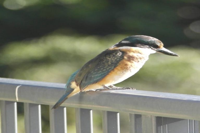 Photo of property in 247 Maungaraki Road, Maungaraki, Lower Hutt, 5010