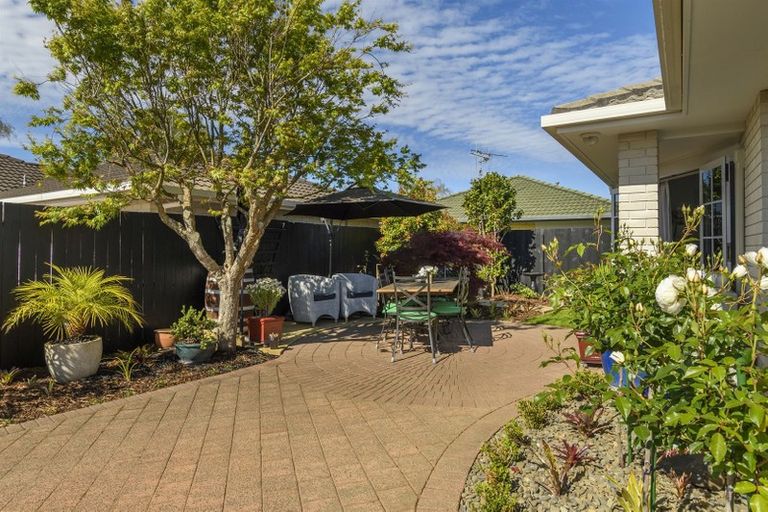 Photo of property in 11 Ngahere Street, Otumoetai, Tauranga, 3110