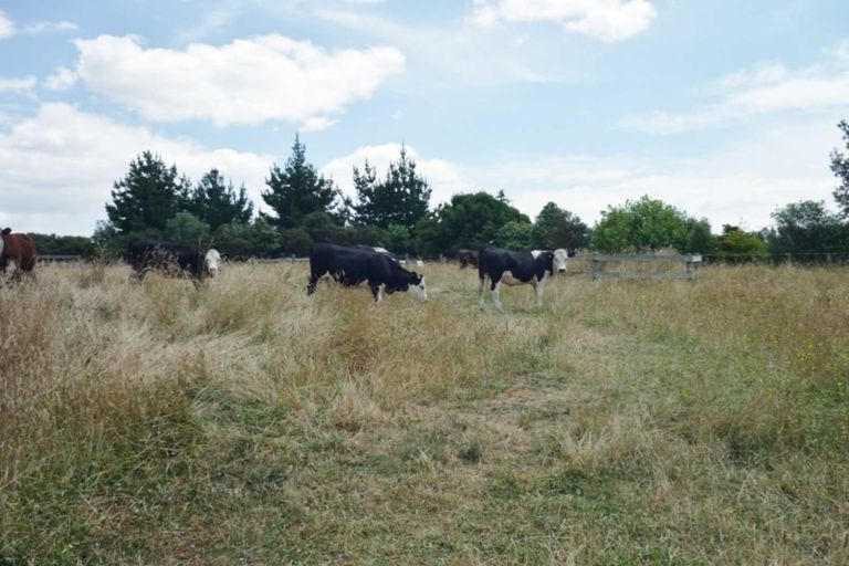 Photo of property in 62 John Hindmarsh Road, Karaka, Papakura, 2580