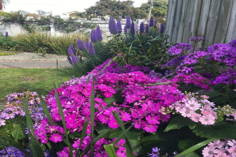 Photo of property in Inverey, 6 Maire Street, Eastbourne, Lower Hutt, 5013