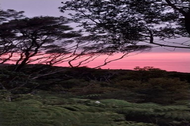 Photo of property in 525a Tuateawa Road, Tuateawa, Coromandel, 3583