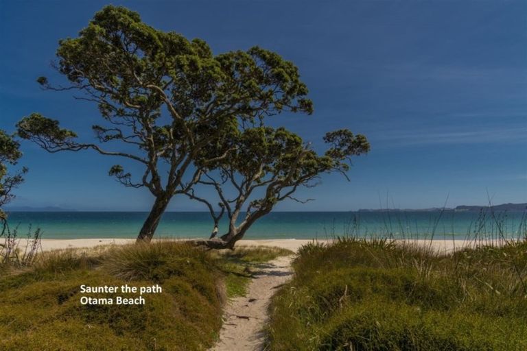 Photo of property in 36 Otama Beach Road, Opito Bay, Whitianga, 3592