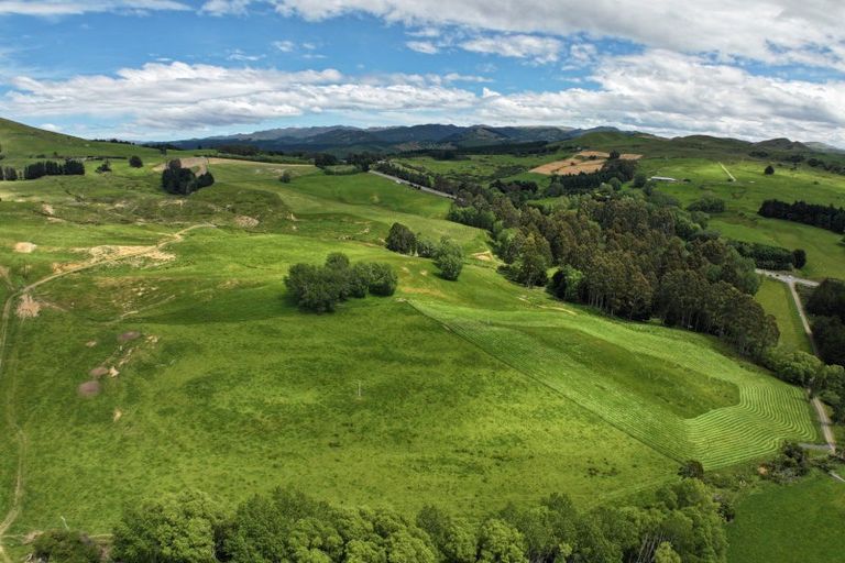 Photo of property in 61 Whites Road, Seacliff, Waikouaiti, 9471