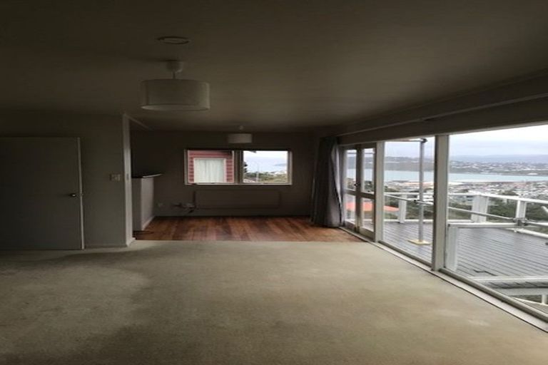 Photo of property in 2 Hornsey Road, Melrose, Wellington, 6023