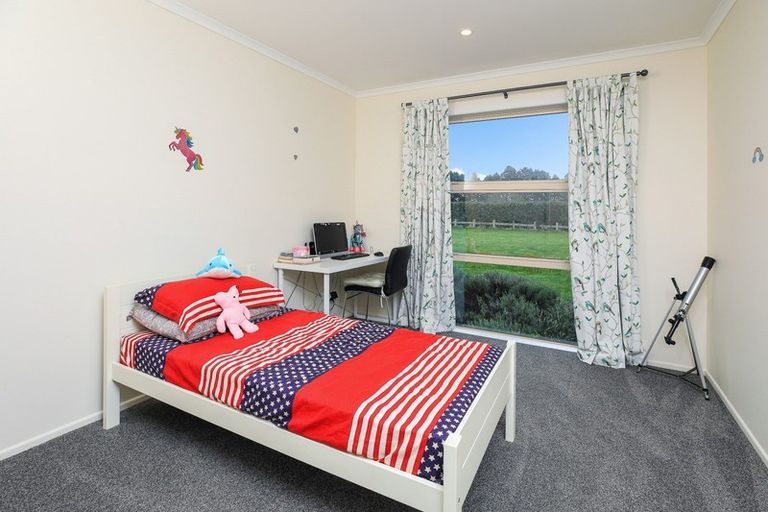 Photo of property in 86 Birchwood Lane, Tamahere, Hamilton, 3283