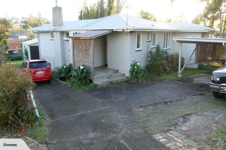 Photo of property in 101 Selwyn Crescent, Forrest Hill, Auckland, 0620