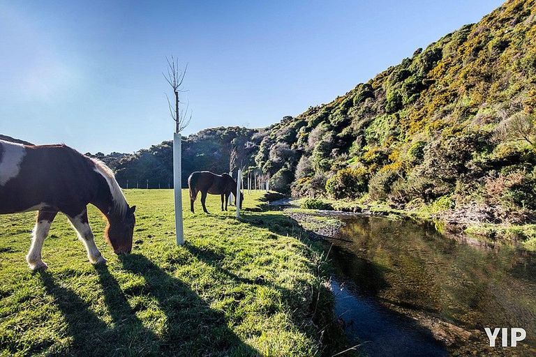 Photo of property in 648 Makara Road, Makara, Karori, 6972