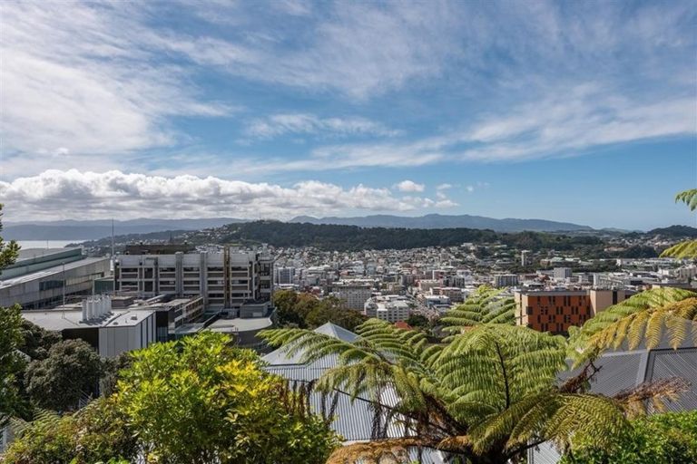 Photo of property in 80 Kelburn Parade, Kelburn, Wellington, 6012