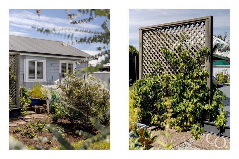 Photo of property in 126 Sixteenth Avenue, Tauranga South, Tauranga, 3112